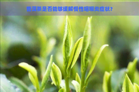 普洱茶是否能够缓解慢性咽喉炎症状？