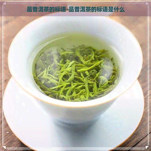 品普洱茶的标语-品普洱茶的标语是什么