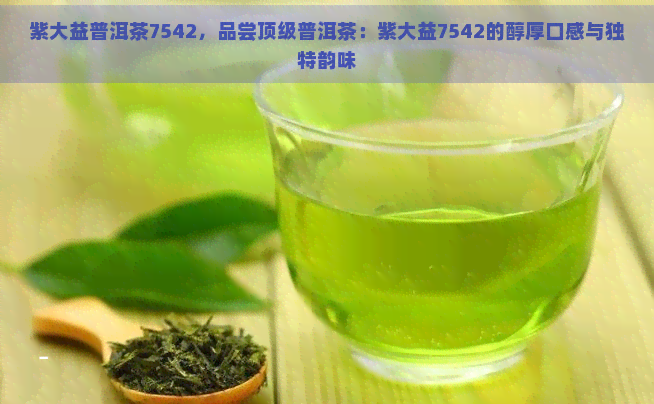 紫大益普洱茶7542，品尝顶级普洱茶：紫大益7542的醇厚口感与独特韵味