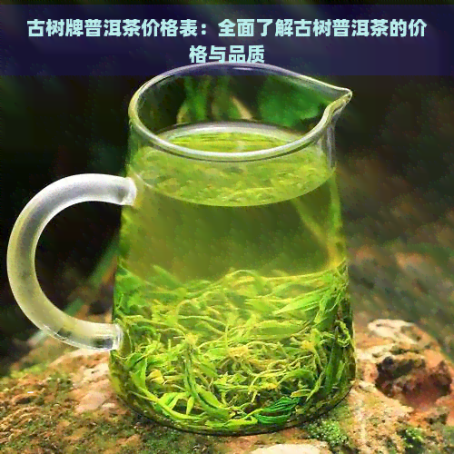 古树牌普洱茶价格表：全面了解古树普洱茶的价格与品质