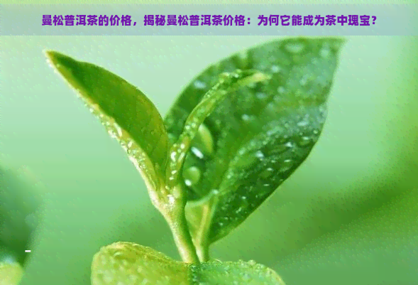 曼松普洱茶的价格，揭秘曼松普洱茶价格：为何它能成为茶中瑰宝？