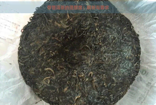 存普洱茶的理想度：解析与要求