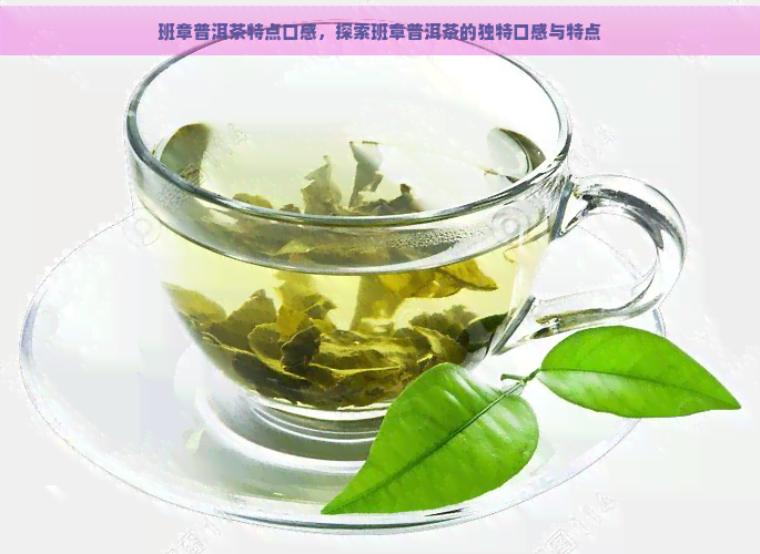 班章普洱茶特点口感，探索班章普洱茶的独特口感与特点