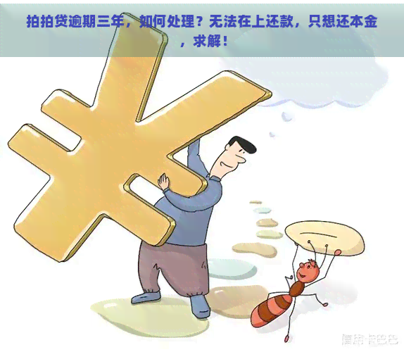 逾期三年，如何处理？无法在上还款，只想还本金，求解！