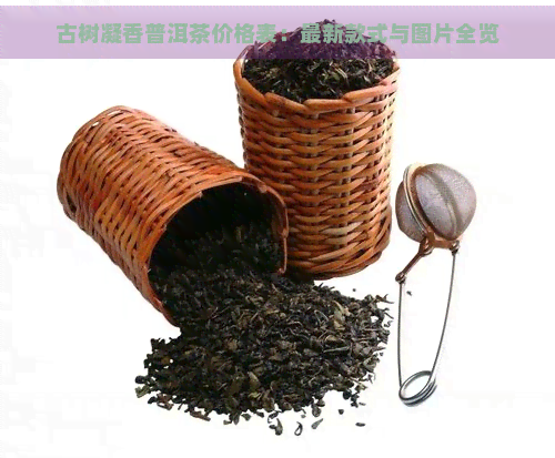 古树凝香普洱茶价格表：最新款式与图片全览