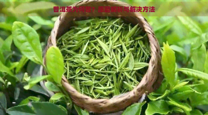 普洱茶为何苦？原因解析与解决方法