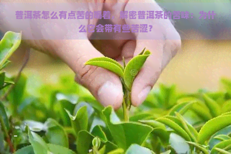 普洱茶怎么有点苦的喝着，解密普洱茶的苦味：为什么它会带有些苦涩？