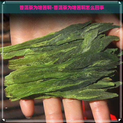 普洱茶为啥苦啊-普洱茶为啥苦啊怎么回事