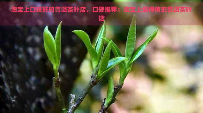 淘宝上口碑好的普洱茶叶店，口碑推荐：淘宝上值得信的普洱茶叶店