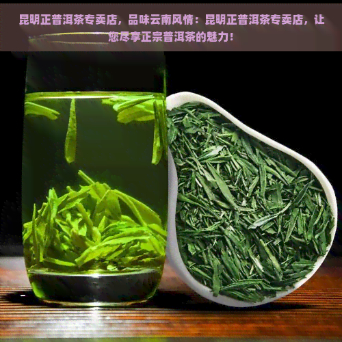 昆明正普洱茶专卖店，品味云南风情：昆明正普洱茶专卖店，让您尽享正宗普洱茶的魅力！