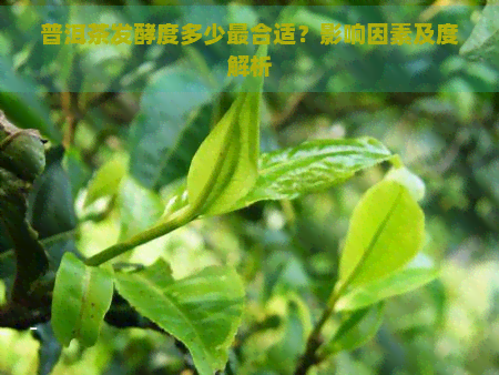 普洱茶发酵度多少最合适？影响因素及度解析