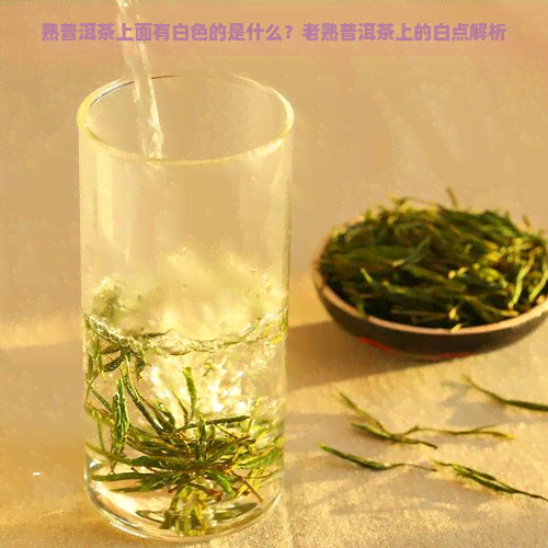 熟普洱茶上面有白色的是什么？老熟普洱茶上的白点解析