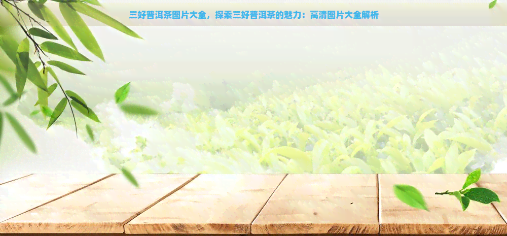 三好普洱茶图片大全，探索三好普洱茶的魅力：高清图片大全解析