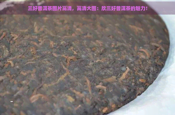 三好普洱茶图片高清，高清大图：欣三好普洱茶的魅力！