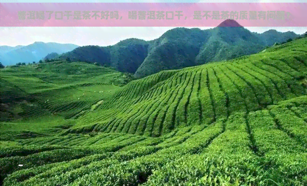 普洱喝了口干是茶不好吗，喝普洱茶口干，是不是茶的质量有问题？