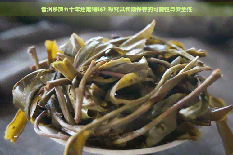 普洱茶放五十年还能喝吗？探究其长期保存的可能性与安全性