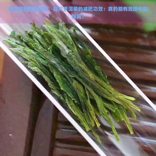 普洱茶能降脂肪吗，探究普洱茶的减肥功效：真的能有效降低脂肪吗？