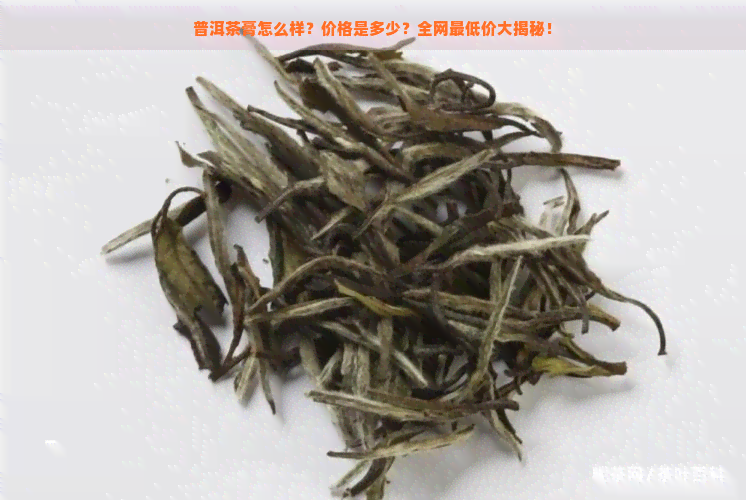 普洱茶膏怎么样？价格是多少？全网更低价大揭秘！