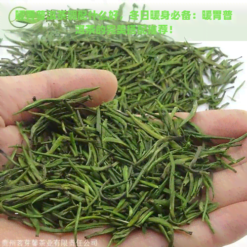 暖胃普洱茶调配什么好，冬日暖身必备：暖胃普洱茶的完美搭配推荐！