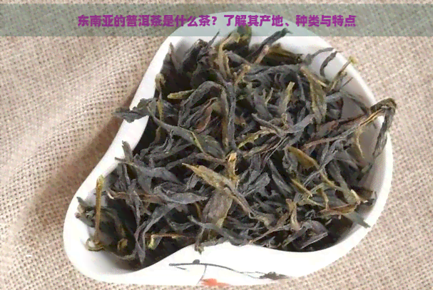 东南亚的普洱茶是什么茶？了解其产地、种类与特点