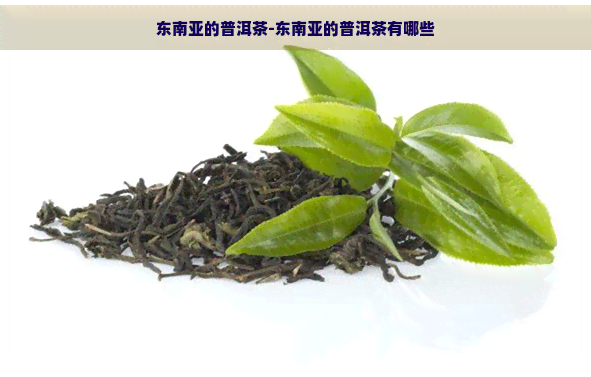 东南亚的普洱茶-东南亚的普洱茶有哪些