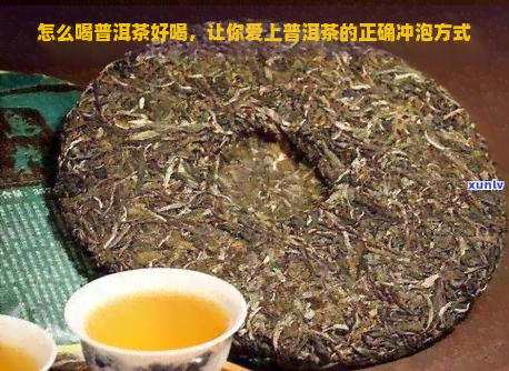 怎么喝普洱茶好喝，让你爱上普洱茶的正确冲泡方式