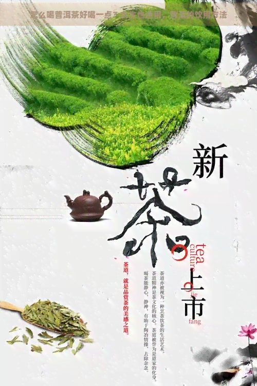 怎么喝普洱茶好喝一点？女生也适用，普洱的饮用方法