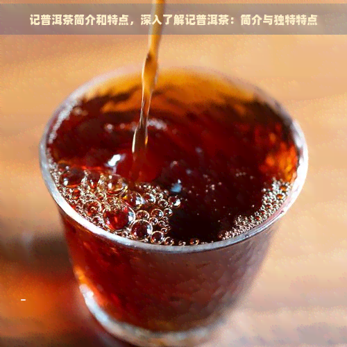 记普洱茶简介和特点，深入了解记普洱茶：简介与独特特点