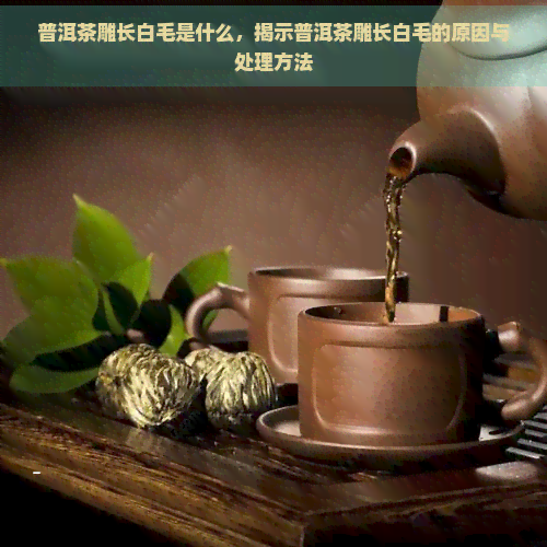 普洱茶雕长白毛是什么，揭示普洱茶雕长白毛的原因与处理方法