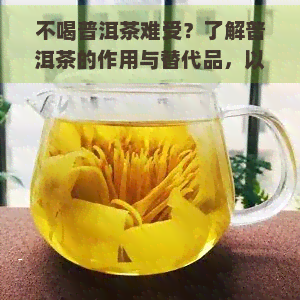 不喝普洱茶难受？了解普洱茶的作用与替代品，以及缺水的影响！