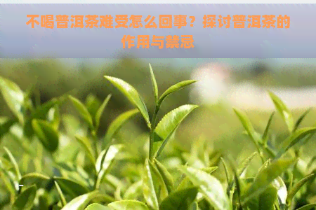 不喝普洱茶难受怎么回事？探讨普洱茶的作用与禁忌