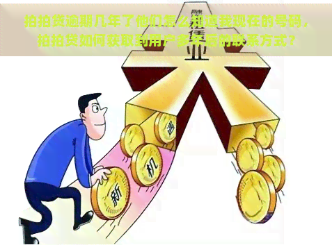 逾期几年了他们怎么知道我现在的号码，如何获取到用户多年后的联系方式？