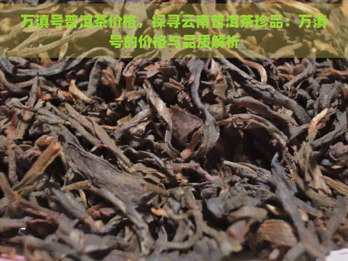 万滇号普洱茶价格，探寻云南普洱茶珍品：万滇号的价格与品质解析