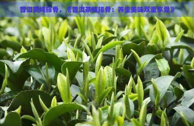 普洱茶炖排骨，《普洱茶炖排骨：养生美味双重享受》