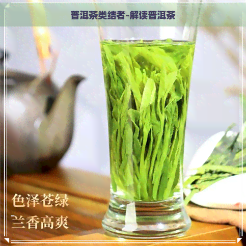 普洱茶类结者-解读普洱茶