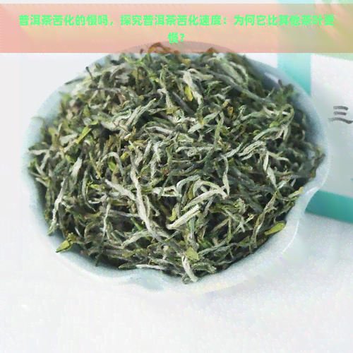 普洱茶苦化的慢吗，探究普洱茶苦化速度：为何它比其他茶叶更慢？