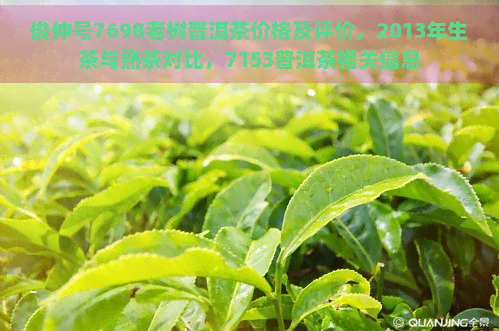 俊仲号7698老树普洱茶价格及评价，2013年生茶与熟茶对比，7153普洱茶相关信息