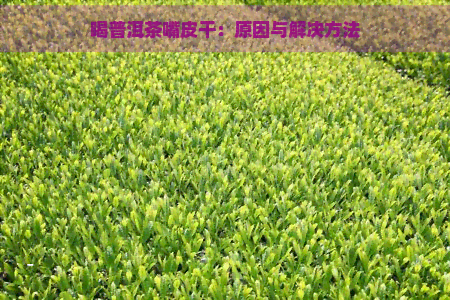 喝普洱茶嘴皮干：原因与解决方法