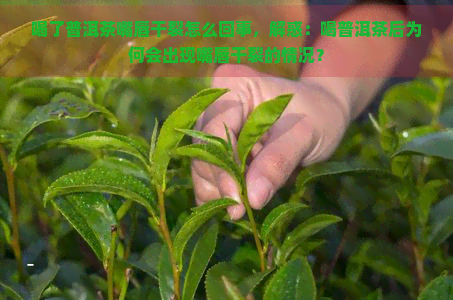 喝了普洱茶嘴唇干裂怎么回事，解惑：喝普洱茶后为何会出现嘴唇干裂的情况？