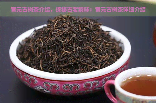 昔元古树茶介绍，探秘古老韵味：昔元古树茶详细介绍