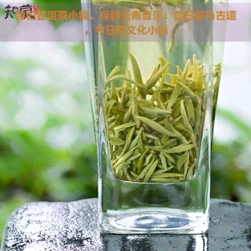 昔归普洱茶小镇，探秘云南普洱：昔日茶马古道，今日茶文化小镇