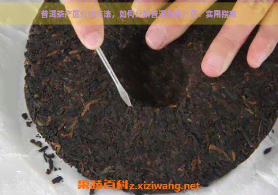 普洱茶产区分辨方法，如何分辨普洱茶的产区：实用指南