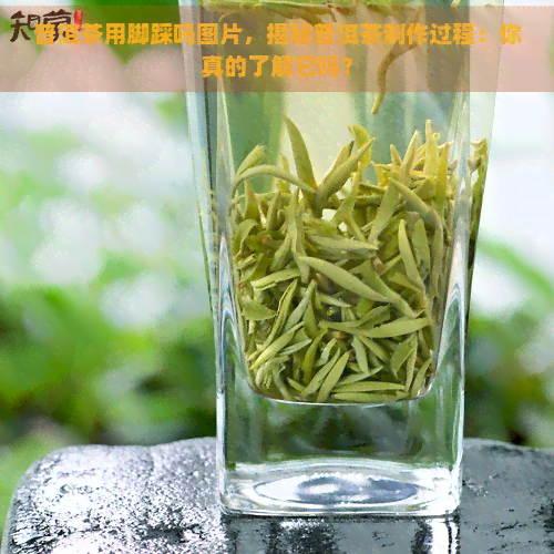 普洱茶用脚踩吗图片，揭秘普洱茶制作过程：你真的了解它吗？