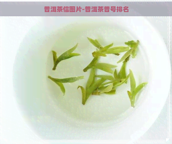 普洱茶信图片-普洱茶普号排名