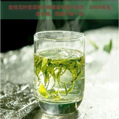 金枝玉叶普洱茶价格查询与图片展示，2000克生茶价格，熟茶价格一览