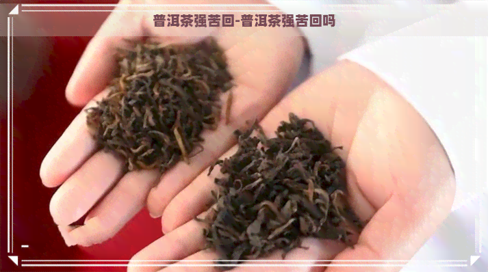 普洱茶强苦回-普洱茶强苦回吗