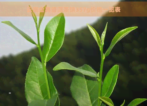 云南金典普洱茶饼357g价格一览表