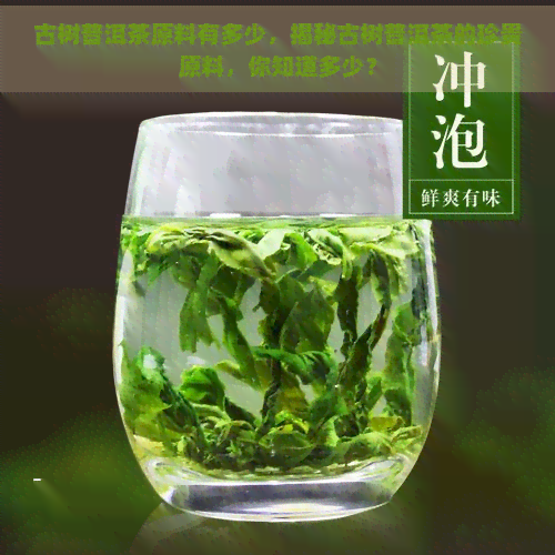 古树普洱茶原料有多少，揭秘古树普洱茶的珍贵原料，你知道多少？