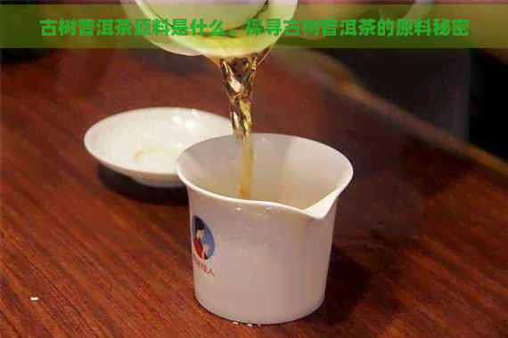 古树普洱茶原料是什么，探寻古树普洱茶的原料秘密