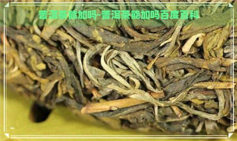 普洱茶能加吗-普洱茶能加吗百度百科